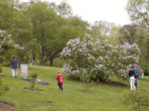 P5150914.JPG